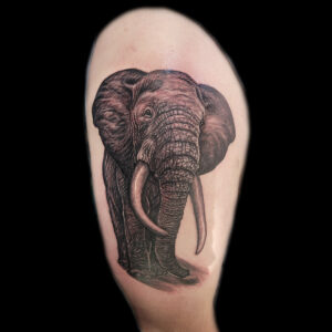 best elephant tattoo artist san francisco bay area california