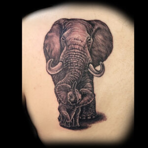 realistic elephants tattoo